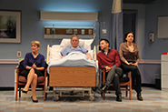 The Lyons - Directed by John Vreeke - Round House Theatre, Washington DC-Bethesda, Maryland